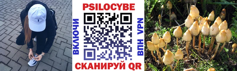 MEGA ТОР  закладки  Таруса  Псилоцибиновые грибы Psilocybe 
